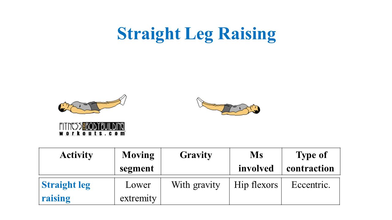 Type OF MUSCLE CONTRACTION ppt download